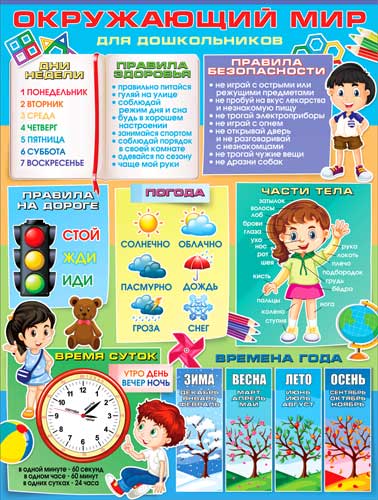 Плакат 'Окружающий мир', P2-576