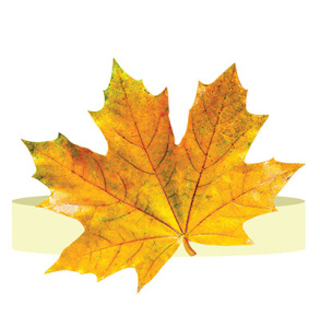 Ободок "Осенний лист", 5КP-032