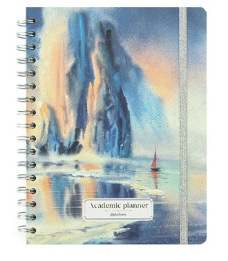 ACADEMIC PLANNING 'АЛЫЕ ПАРУСА', 110184