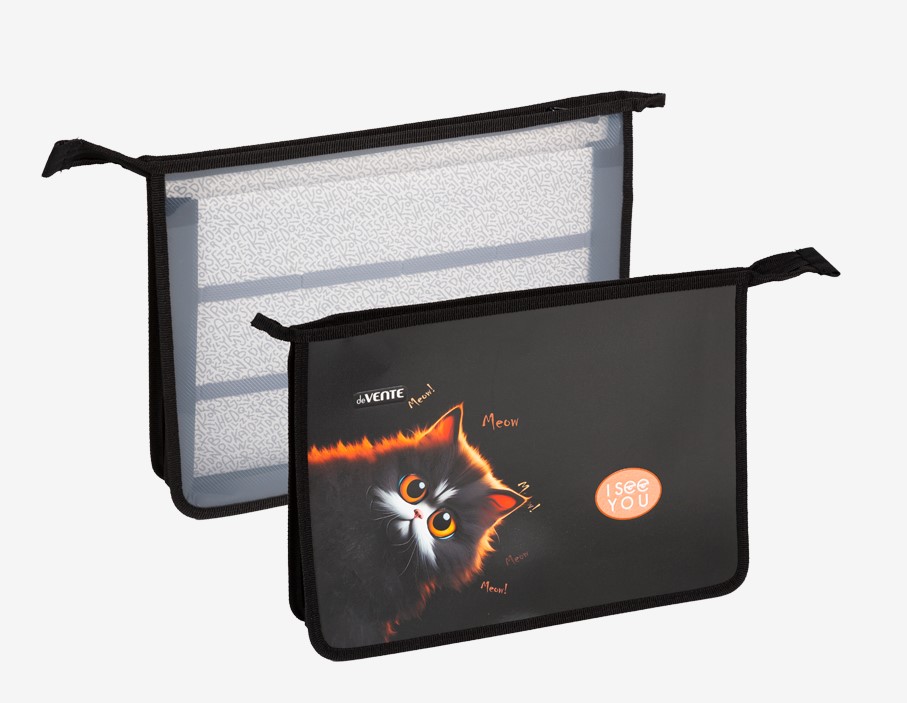 Папка для тетрадей и ИЗО 'deVENTE. I see you', (337х243х50 мм), 8057562