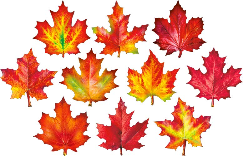 Набор 'Кленовые листья',  (10 шт;уп), HP-43