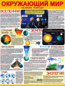 Плакат А2 "Окружающий мир" 595x450 мм, Р2-572
