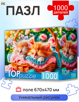 TOPpuzzle. ПАЗЛЫ 1000 элементов. ДВА КОТЁНКА В КОРЗИНЕ